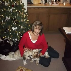 Meet your Posher, Genece